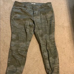 Loft Camo Plus Pants Fall 2019
